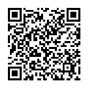肯定也会出现一股势力来营救那些可爱的小白鹿们二维码生成