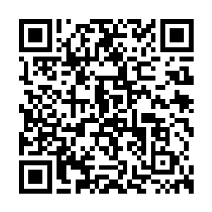 肯定也是觉得我能够给你提供一些建议或者帮助二维码生成