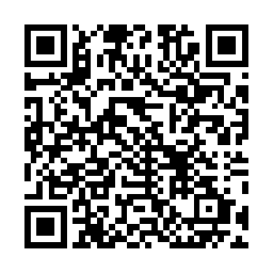 肯定会以为这小姑娘一定是个乖巧懂事招人怜爱的小丫头二维码生成