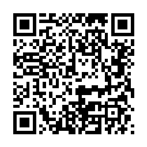 肯定会后悔曾经有一个成为神仙的机会摆在自己的面前二维码生成