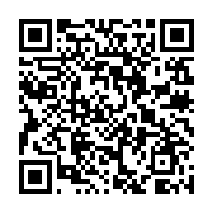 肯定会指定一名副局长全权代表他主持局里的全面工作二维码生成