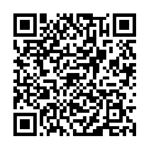 肯定会有数量惊人的奇功秘术碎片出现在识海当中二维码生成