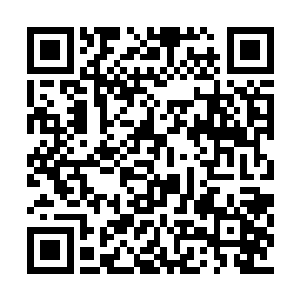 肯定会立即投入到成分分析以及药物研制当中去二维码生成