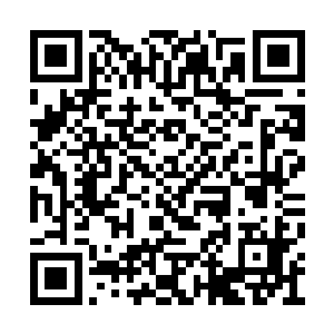肯定又是盗贼工会的那帮老鼠头子派你们来的吧二维码生成