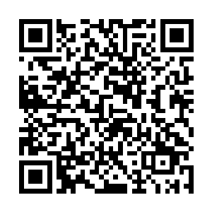 肯定团长手中的巨斧和扑来的黑影在半空中碰撞在一起二维码生成