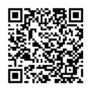 肯定是因为叶天水对这场生死决战开的盘口太悬殊了二维码生成