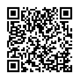 肯定是炎角在里面偷偷养了一只镇守炎河堡的凶兽二维码生成