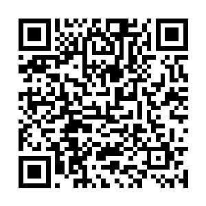 肯定是那几个公子不想让夏天活着离开万星云城啊二维码生成