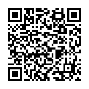 肯定最少会留下相当规模的翼魔部队作为空中的护卫二维码生成