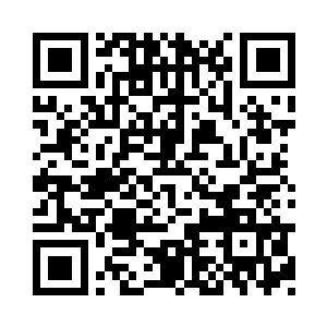 肯定要先举办一场超大型的拍卖会的二维码生成