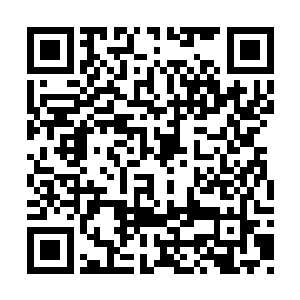 肯定要征求国务院相关部门甚至有关领导的意见二维码生成