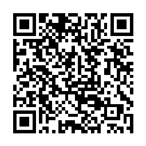 肯定要过省委书记萧远山和常务副省长秦明月这一关二维码生成