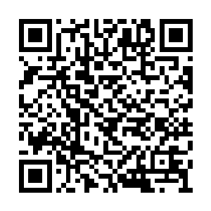 肯尼斯在年轻诺亚身上看到的是他出色的微表情二维码生成