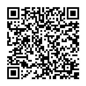 肯德大叔身前最大的愿望就是把烈焰佣兵团发展成天元大陆上最大的佣兵团二维码生成