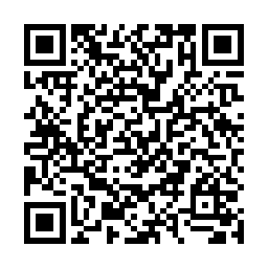 肯蒂家族的老家伙要是知道他们未来的族长其实是老大二维码生成