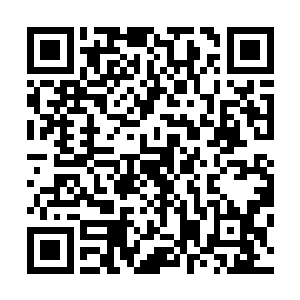 肯达大师私下里也动用了自己的渠道到处收集法比亚和米卡二维码生成