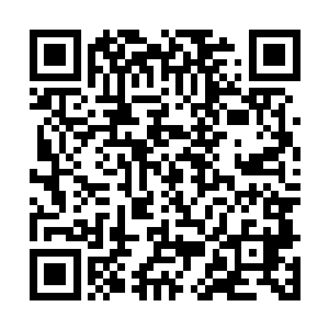 肾一道出现在巅峰时代w1全球流体系中的那个打野英雄二维码生成
