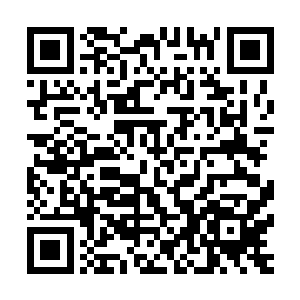 胆子小的还有头一次见到传说中的兽神大人的族人都快吓瘫了二维码生成