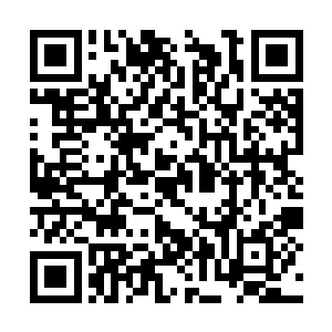 胆小……所以在这个小岛上是一个最最低级的存在二维码生成