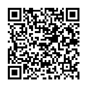 背后十几个人面貌狰狞的尸灵族不依不饶地追击着二维码生成