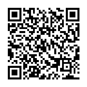 背后气龙凝聚已到了远程攻击范围希望藉此影响阮二维码生成