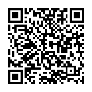 背后的十根骨刺化作漫天的剑雨朝四面八方疾射而去二维码生成