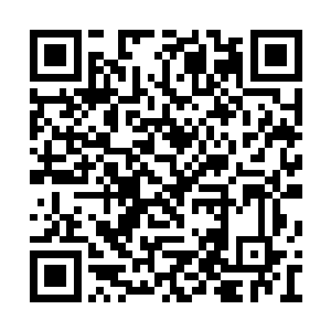 背后的数千凶兽也直接发出一阵阵震天般的吼声二维码生成