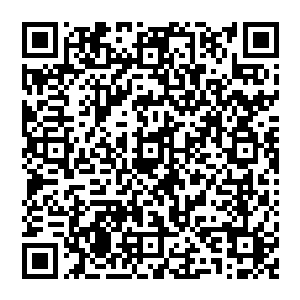 背后竟生两双乌黑铁羽肉翅肋骨两侧又生出两双手臂双腿之下魔脚生九趾使得变成了一头六臂魔王二维码生成