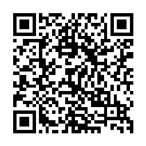 背后说话的人正是在天机阁中与林铭一起想买天花石的红袍老者二维码生成