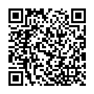 背后那裂开的洞口只是在几息的时间内便重新闭合二维码生成