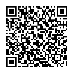 背对火光的武装分子甚至还没能辨别出子弹从面前的黑暗哪一方过来就纷纷倒地二维码生成