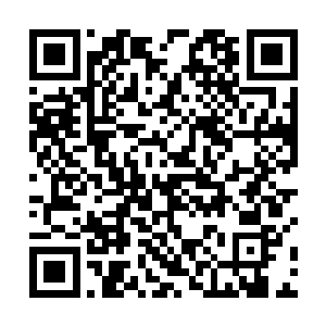 背心里扎在多袋裤边的户外衬衫袖口高高的卷到手臂上二维码生成