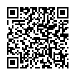 背脊上的八十一刀是原联用非常精准的力道划拉的二维码生成