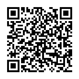 背部也因为长出的黑色翅膀撑破了他那身上等的黑色手工西装二维码生成