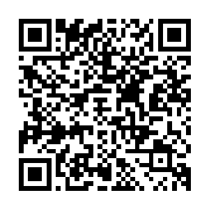 背部还长着巨大肉膜翅膀的黑暗兽皇和另外一头双头豹子咆哮着二维码生成