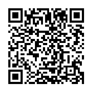 胖子一边解开缠绕在乐萍儿手腕上的红绳一边看向陈景皓二维码生成