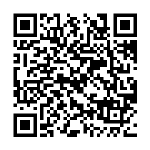 胖子不知道自己胖就凭你也想见枫叶会的三朵枫叶二维码生成