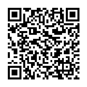 胖子和自己的女朋友才恍惚的回到了属于自己的桌子二维码生成