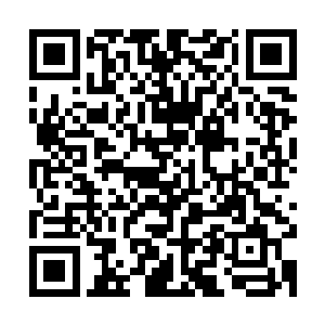 胖子张真的外貌和体型注定了他永远只能够沦为小丑一样的配角二维码生成