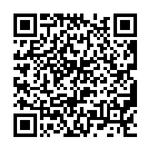 胖子扒开身前的杂草指着前方两百米左右的空地说道二维码生成