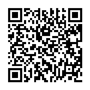 胖子顿时起来站起来过去伸手在显示器上用力拍了几下二维码生成