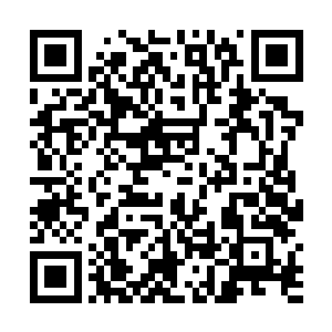胖熊和商鹊几人都是经过唯心一手陪练出来的界之力量二维码生成