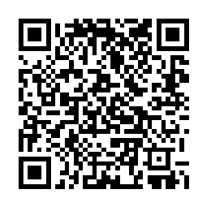 胖胖妈回家大概两个小时之后给果而送的小面包二维码生成