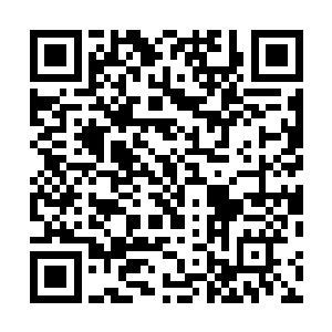 胚胎移植里最大的成本就是超数排卵时付给中牧的材料钱二维码生成