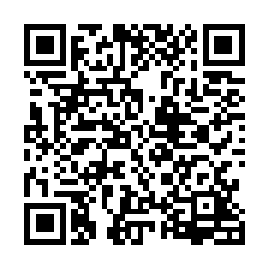 胜利一定属于他们的……林志东虽然格斗能力并不是太强二维码生成