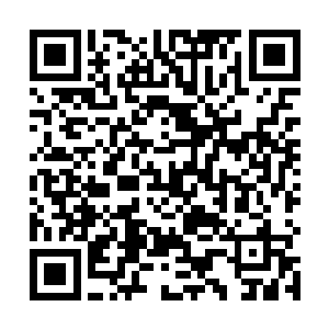 胡世福的背后出现浑身身穿冰蓝色铠甲的恐怖鱼人虚影二维码生成