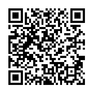 胡乱从红鹰的箱子里取出两个巨大的银判揣怀里二维码生成