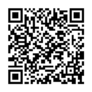 胡佳佳不知道为什么突然想起了昨天那个医生来二维码生成