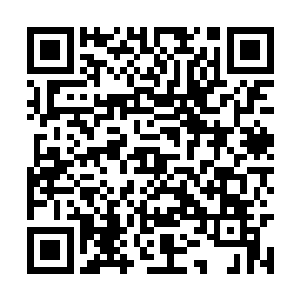 胡嘉适时的拿起一卷手帕给白昊擦了擦额头的汗水二维码生成