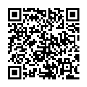 胡明和俞白领着抱朴斋开业组委会的人员都已经到抱朴斋集合了二维码生成